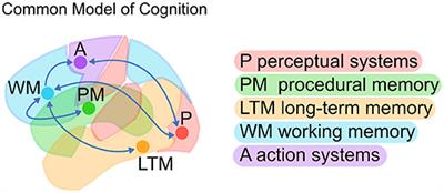 The Structured Mind at Rest: Low-Frequency Oscillations Reflect Interactive Dynamics Between Spontaneous Brain Activity and a Common Architecture for Task Control